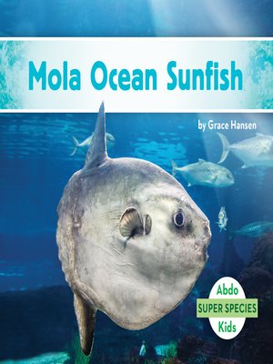 cover image of Mola Ocean Sunfish